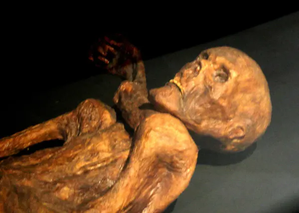 Portrait of Ötzi