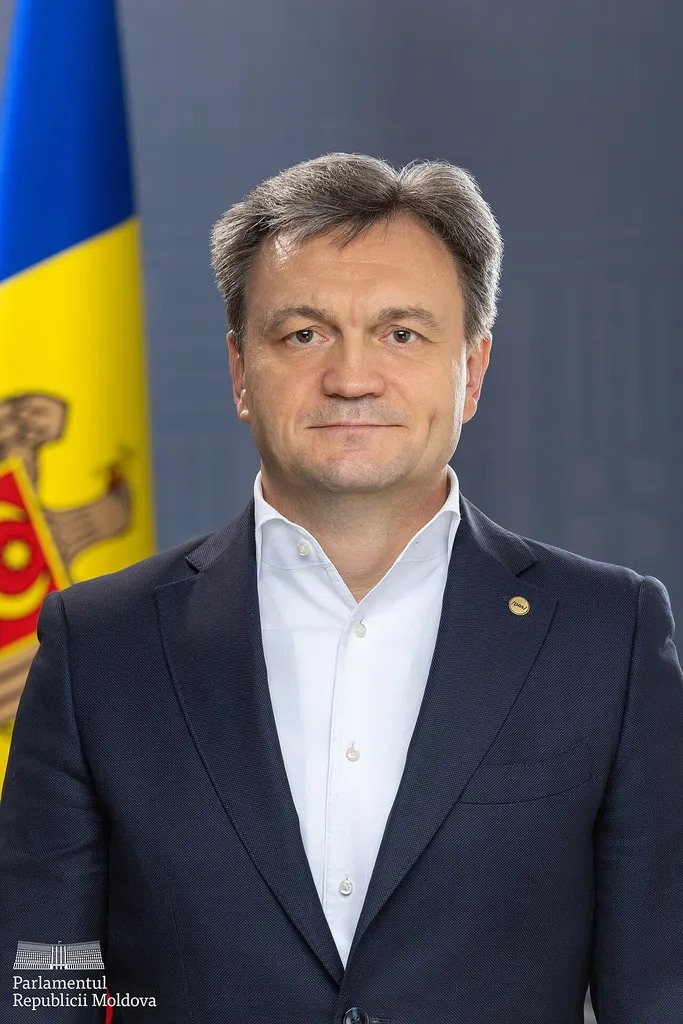 Portrait of Dorin Recean