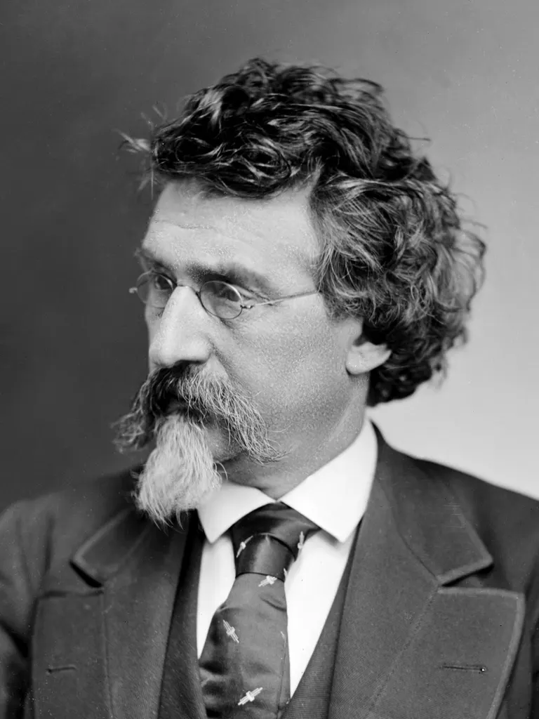 Portrait of Mathew Benjamin Brady