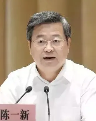 Portrait of Chen Yixin