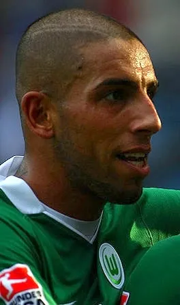Portrait of Ashkan Dejagah