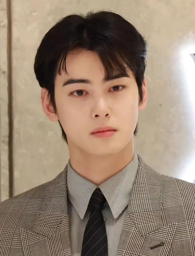 Portrait of Cha Eun-woo
