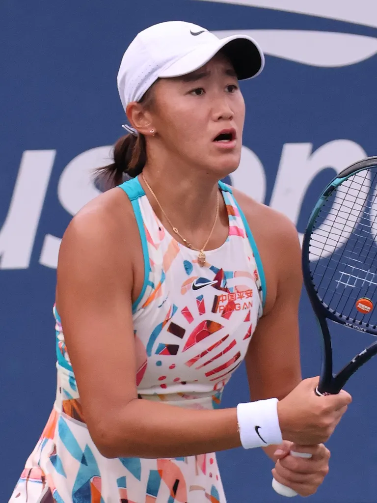 Portrait of Wang Xiyu